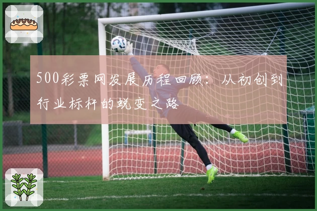 500彩票网发展历程回顾:从初创到行业标杆的蜕变之路