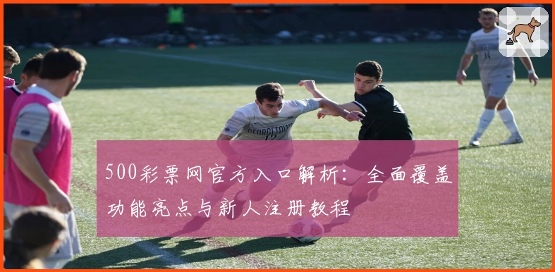 500彩票网官方入口解析：全面覆盖功能亮点与新人注册教程
