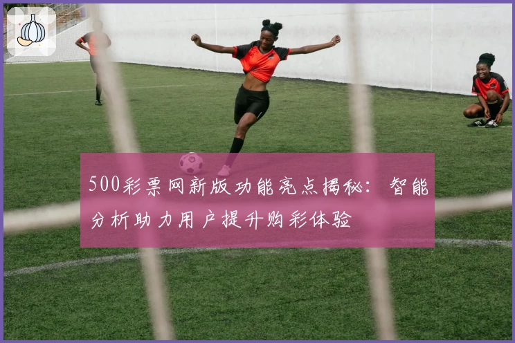 500彩票网新版功能亮点揭秘:智能分析助力用户提升购彩体验