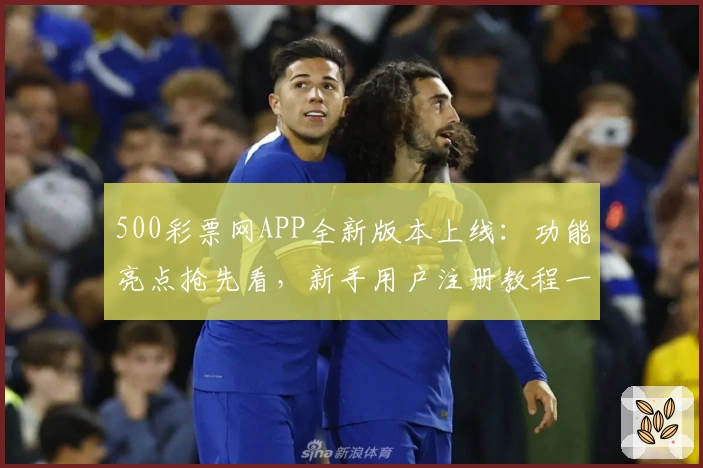 500彩票网APP全新版本上线：功能亮点抢先看，新手用户注册教程一览