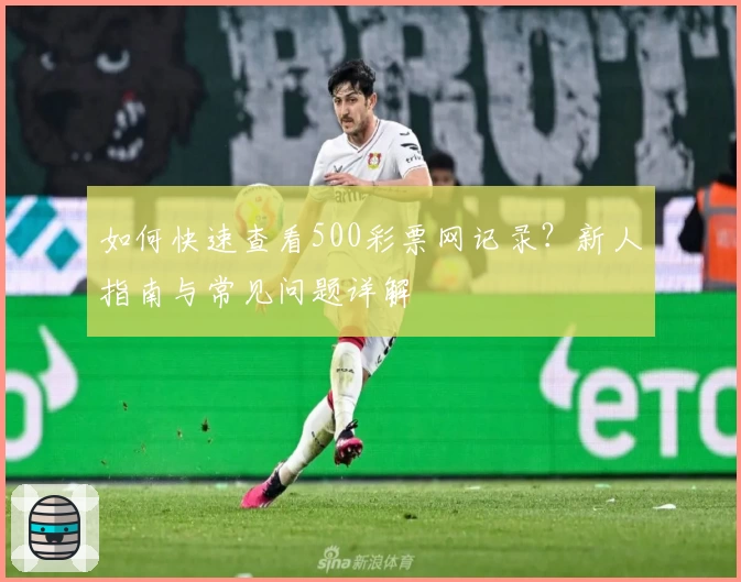 如何快速查看500彩票网记录？新人指南与常见问题详解