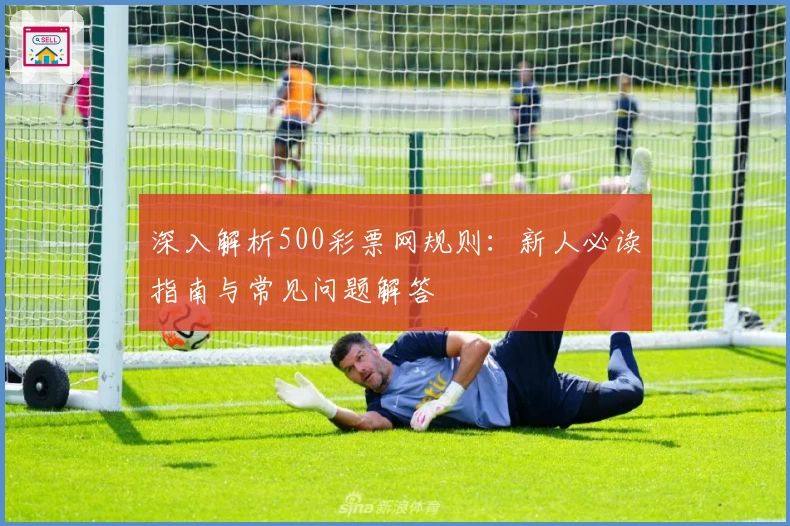 深入解析500彩票网规则：新人必读指南与常见问题解答